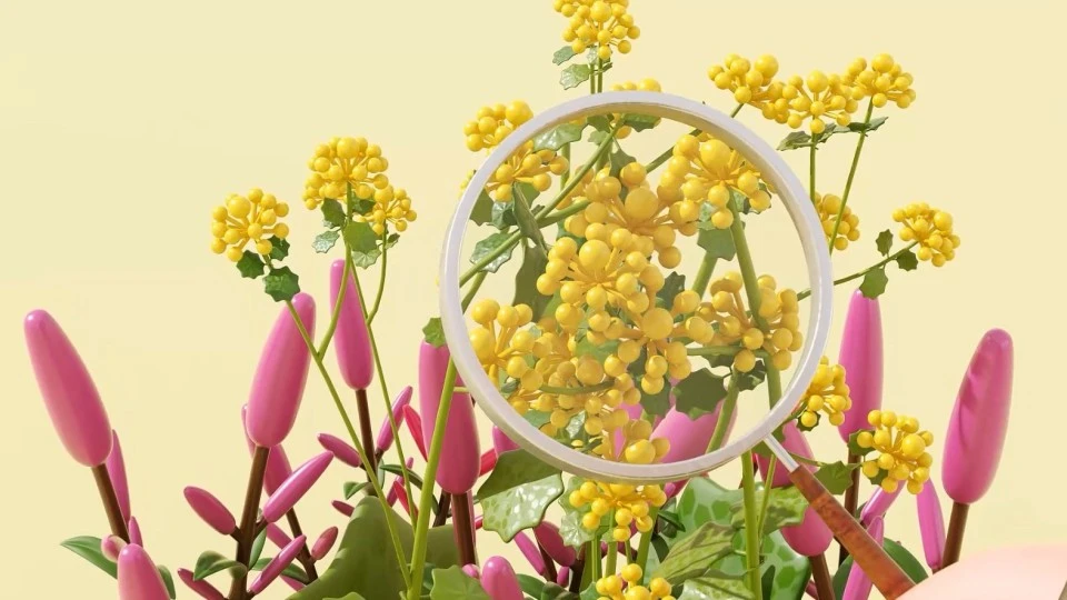 药妆动画广告：花粉过敏引发的研究